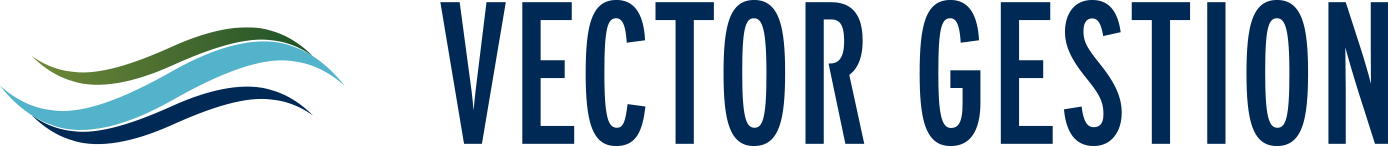 Vector Gestion
